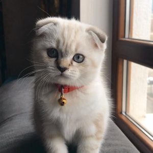 174775277_283863186541805_4016980413737610017_n