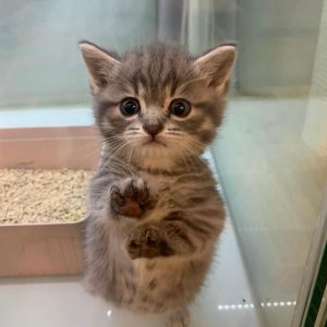 PHOTO-2023-01-09-01-35-28_1