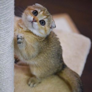 PHOTO-2023-01-09-03-03-02_3