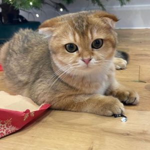 PHOTO-2023-01-09-03-04-59_8