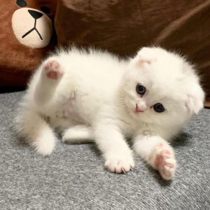 PHOTO-2023-01-10-02-22-30