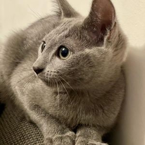 unknown_203006807_421512092573653_3391515035834818892_n