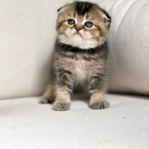 unknown_274486622_690878888861639_2548252325305165640_n